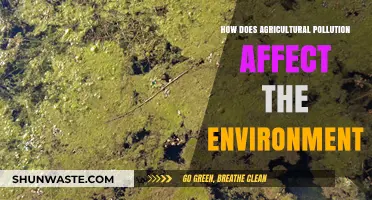 Agricultural Pollution's Impact: Environmental Consequences and Sustainable Solutions