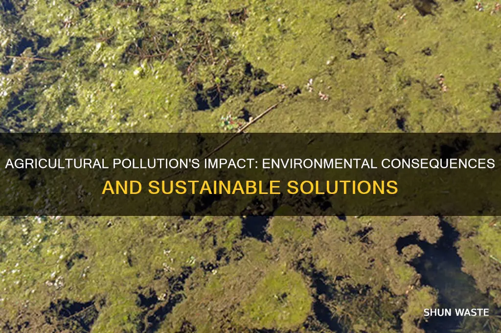 how does agricultural pollution affect the environment