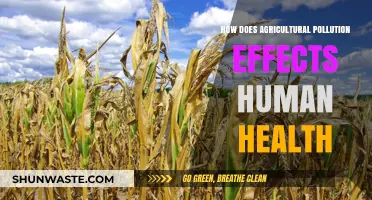 Agricultural Pollution: Harming Human Health and the Environment