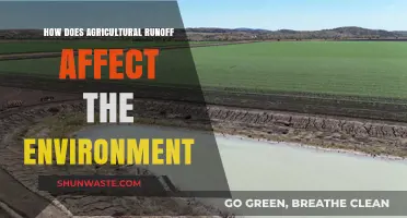 Agricultural Runoff's Impact: Environmental Consequences and Sustainable Solutions