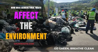 Agricultural Waste's Environmental Impact: Challenges and Sustainable Solutions Explored