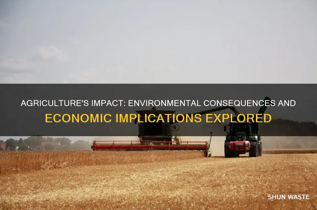 how does agriculture affect the environment and economy