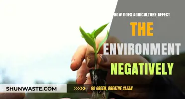 Agriculture's Dark Side: Environmental Impacts and Unsustainable Practices