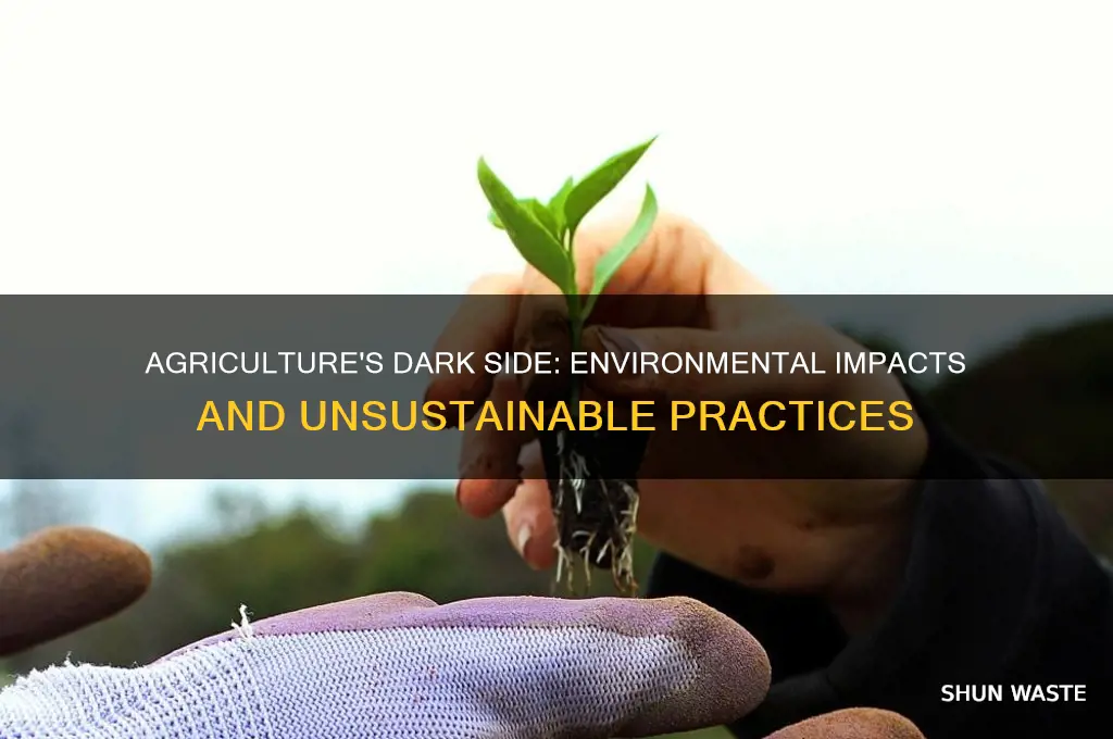 how does agriculture affect the environment negatively