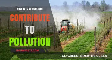 Agriculture's Pollution Problem: A Growing Concern