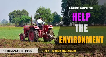 Sustainable Farming: How Agriculture Benefits Our Environment and Future