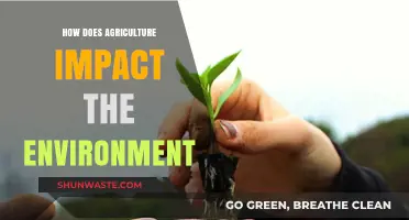 Agriculture's Environmental Impact: Challenges, Sustainability, and Future Solutions