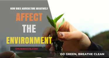 Agriculture's Environmental Impact: Uncovering the Hidden Costs of Farming