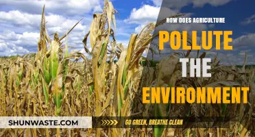Agriculture's Environmental Impact: Pollution Sources