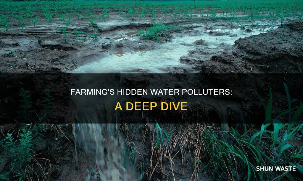 how does agriculture pollute water