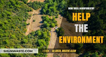 Agroforestry's Environmental Impact: Sustainable Farming for a Greener Future
