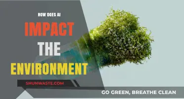 AI's Environmental Impact: Sustainable Solutions or Ecological Challenge?