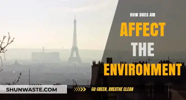 Air's Impact: Understanding Environmental Effects and Sustainable Solutions