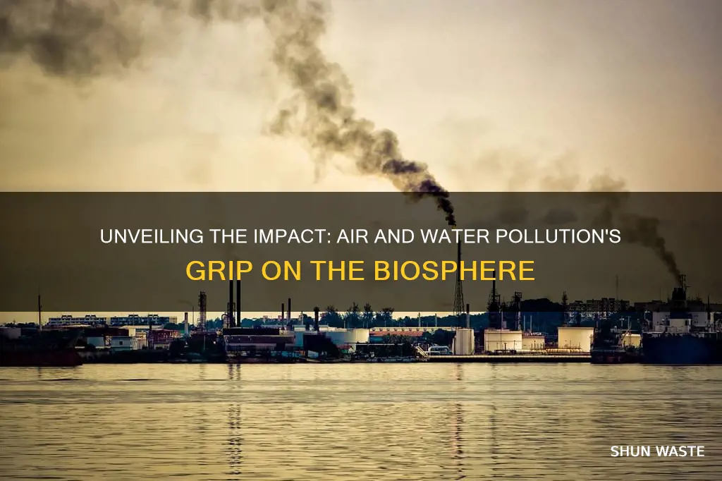 how does air and water pollution affect biosphere