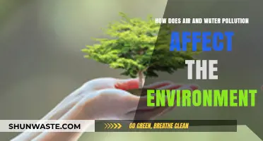 Environmental Impact: Air and Water Pollution's Devastating Effects Explained