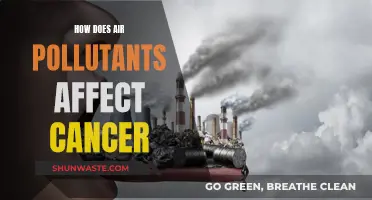 Air Pollutants: Cancer's Unseen, Deadly Allies