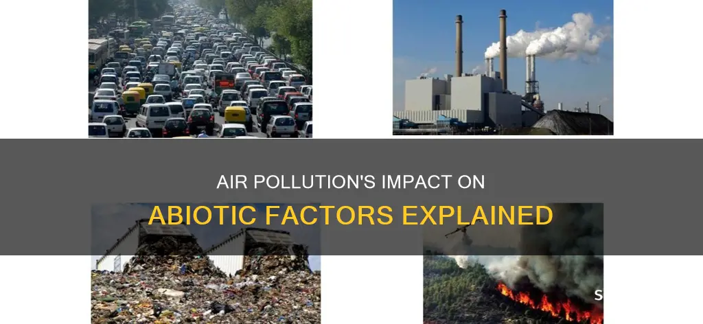 how does air pollution affect abiotic factors