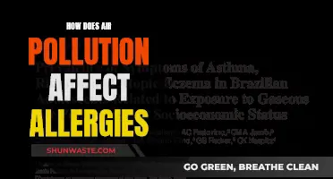 Air Pollution's Impact on Allergies: Understanding the Connection