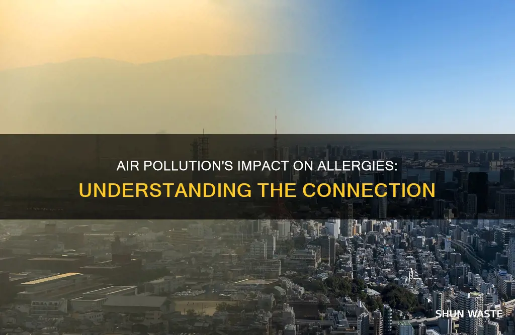 how does air pollution affect allergies