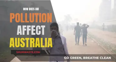 Air Pollution's Impact on Australia's Environment and Health