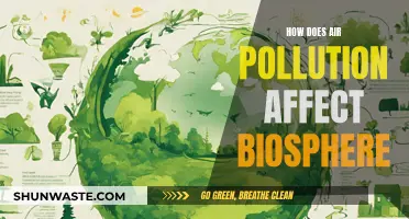 Air Pollution's Impact on the Biosphere Explained