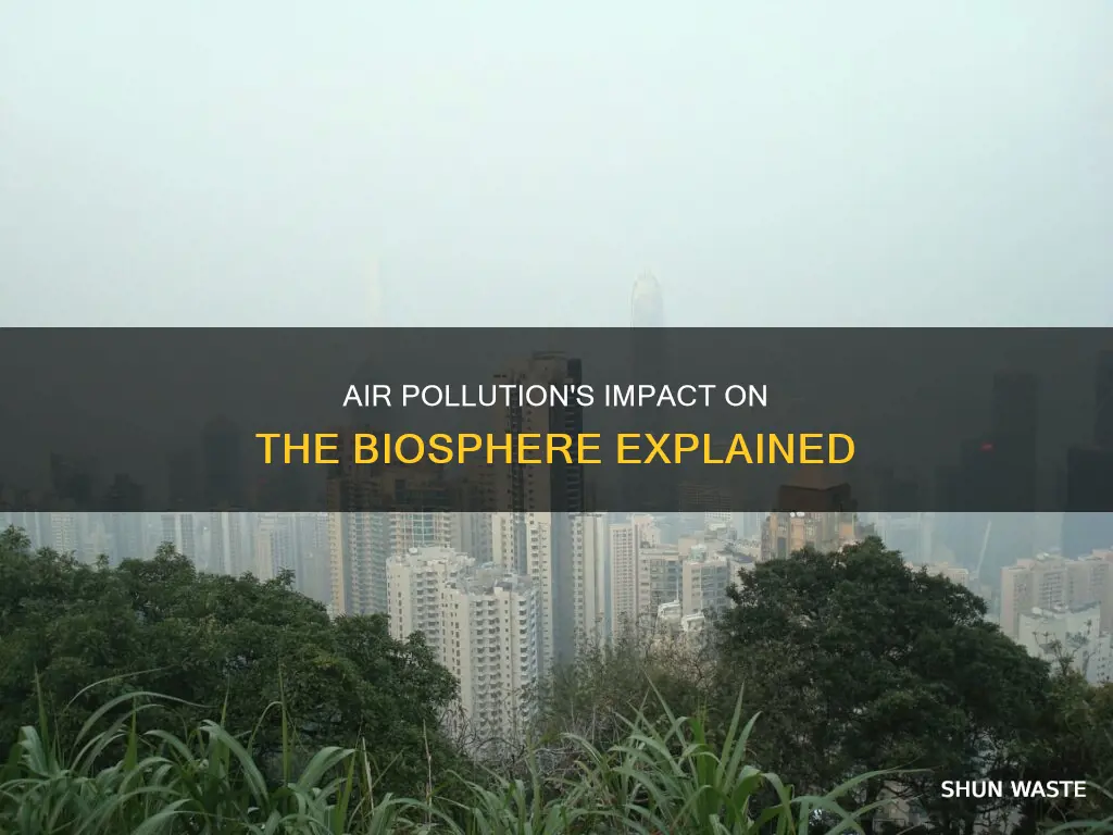 how does air pollution affect biosphere