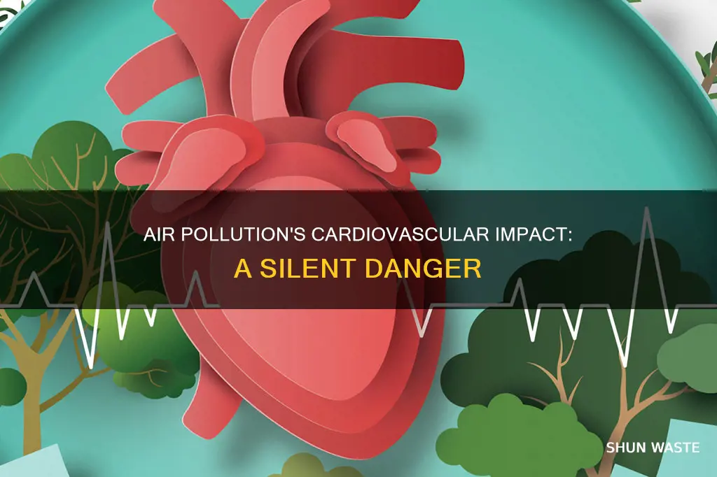 how does air pollution affect cardiovascular system