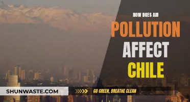 Air Pollution's Impact on Chile: A Health Crisis