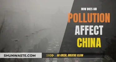 Air Pollution's Impact on China's Environment and People