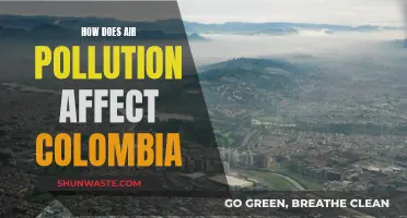 Air Pollution's Impact on Colombia's Environment and People