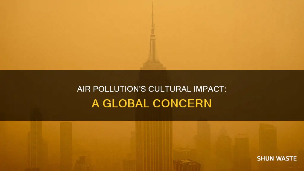 how does air pollution affect culture