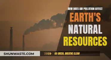 Air Pollution: Earth's Resources Under Threat