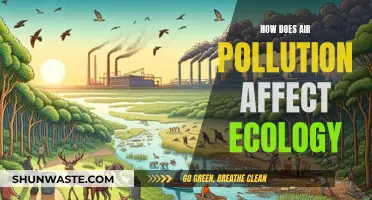 Air Pollution's Impact: Ecology's Unseen Danger