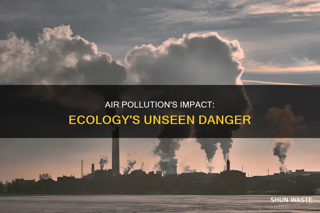 how does air pollution affect ecology