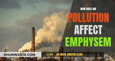 Air Pollution's Impact: Understanding Emphysema Development