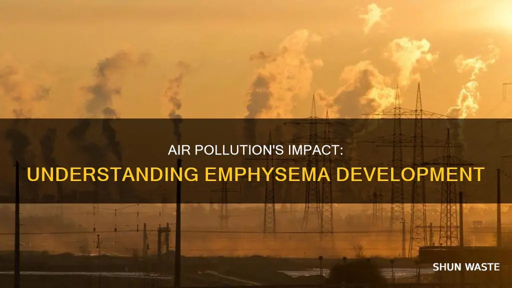 how does air pollution affect emphysema