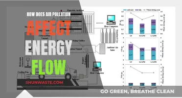 Air Pollution's Impact on Energy Flow and its Ramifications