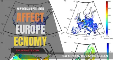 Air Pollution's Economic Impact on Europe