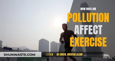 Air Pollution's Impact on Exercise and Fitness