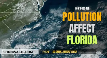 Air Pollution's Impact on Florida: Understanding the Unique Challenges