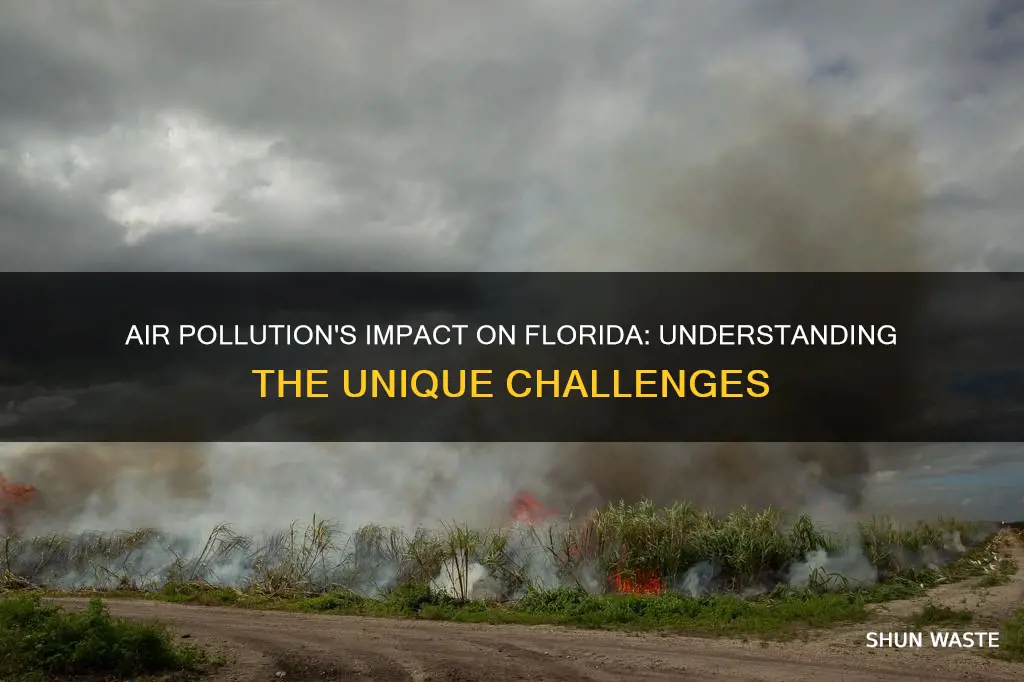 how does air pollution affect florida