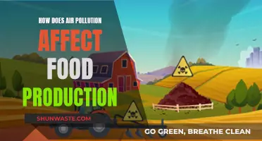 Air Pollution's Impact on Food Production and Security