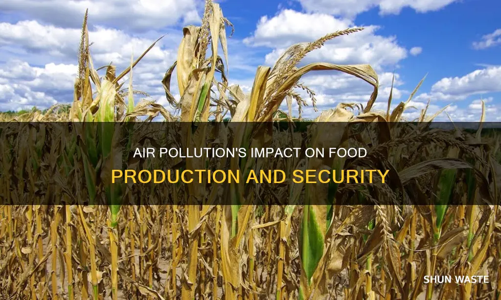 how does air pollution affect food production