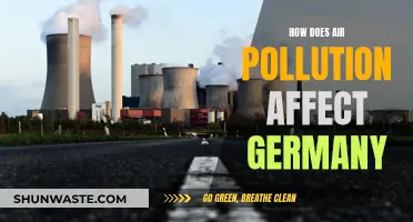 Air Pollution's Impact on Germany's Environment and Health