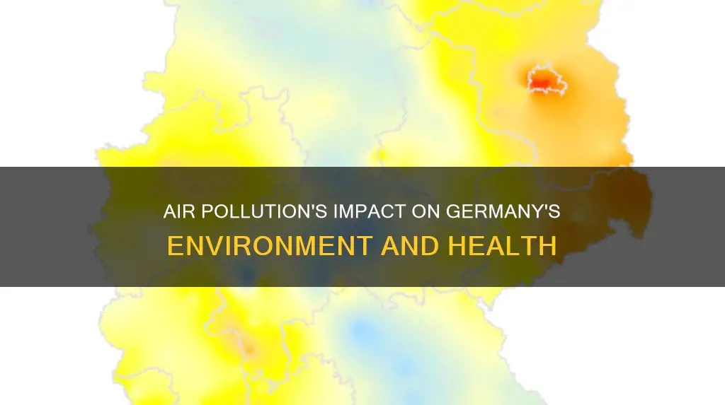 how does air pollution affect germany