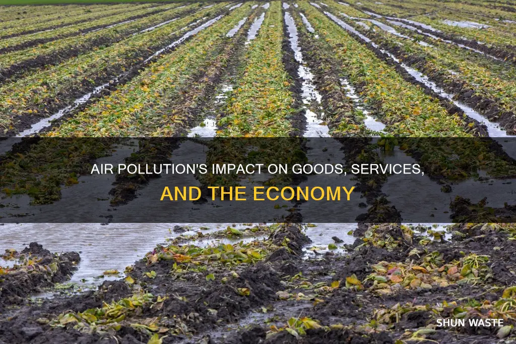 how does air pollution affect goods and services