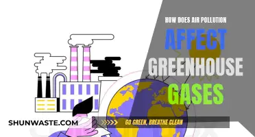 Air Pollution's Impact on Greenhouse Gases