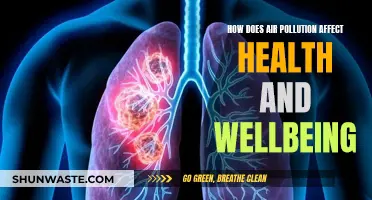 Air Pollution: Harming Our Health and Wellbeing