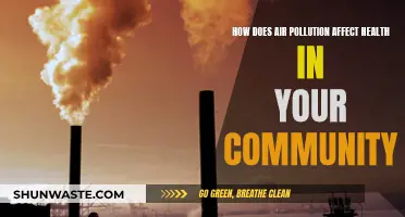 Air Pollution's Impact: Your Community's Health at Risk