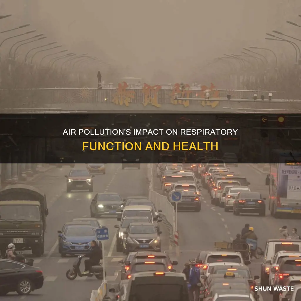 how does air pollution affect how the respiratory system works